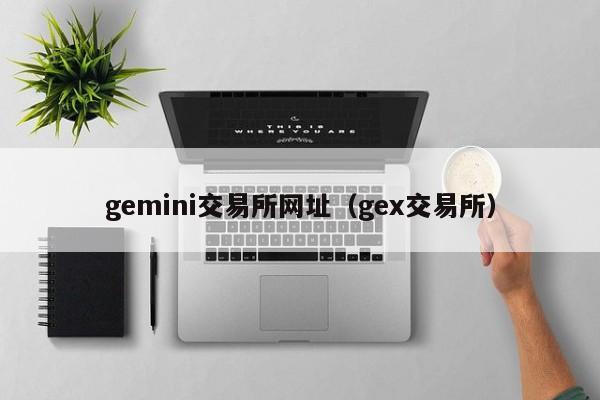 gemini交易所网址(gex交易所)