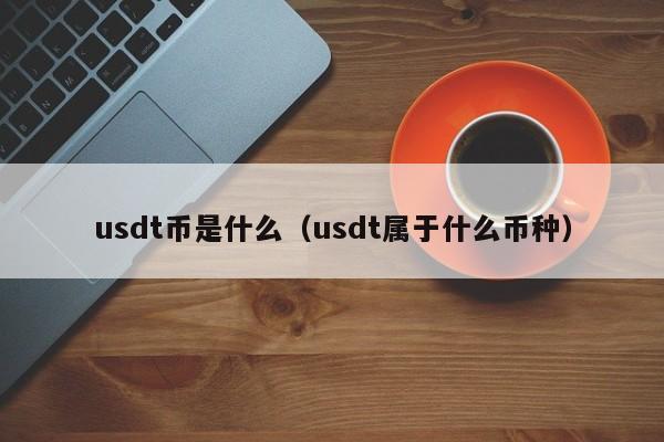 usdt币是什么(usdt属于什么币种)