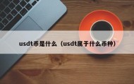 usdt币是什么（usdt属于什么币种）